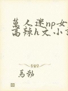 万人迷np女嬷高辣h文小说免费阅读