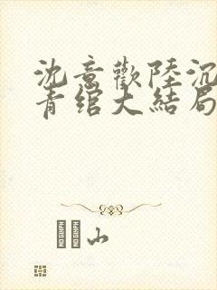 沈意欢陆沉舟林青绾大结局封面