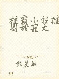 校霸小说推荐校园甜宠文封面