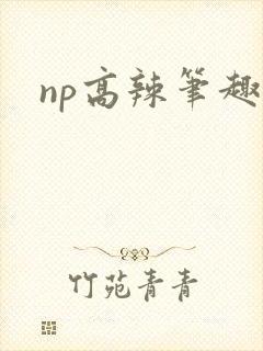 np高辣笔趣阁封面