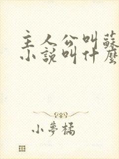 主人公叫苏柔的小说叫什么封面