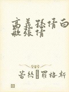 高义孙倩白洁赵敏张倩封面