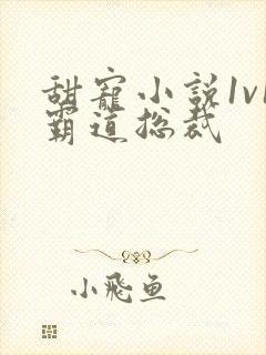 甜宠小说1v1霸道总裁封面