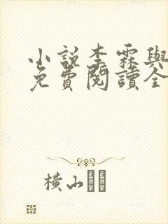 小说李霖与李澜免费阅读全文最新章节