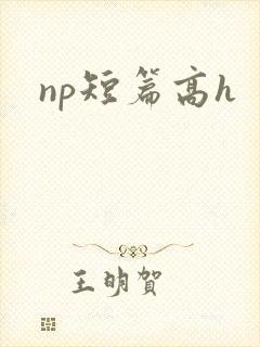 np短篇高h