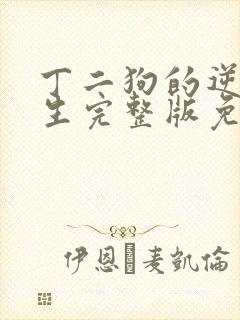 丁二狗的逆袭人生完整版免费观看封面