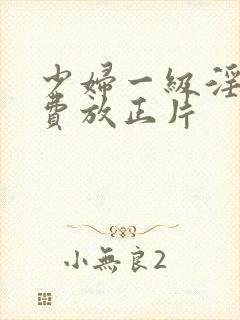 少妇一级淫片免费放正片