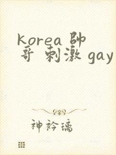 korea 帅哥 刺激 gay片