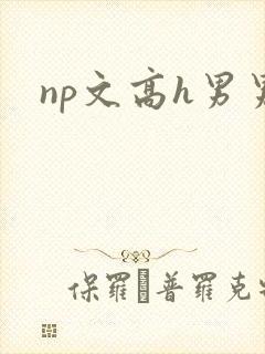 np文高h男男