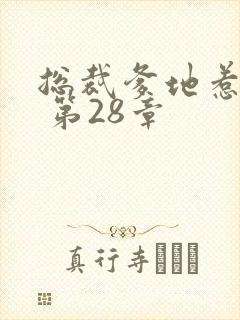总裁爹地惹不起 第28章封面