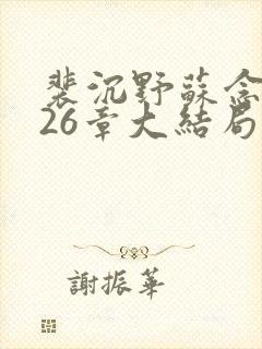 裴沉野苏念辞第26章大结局