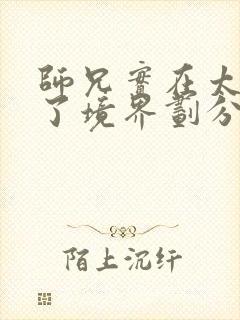 师兄实在太稳健了境界划分