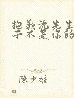抱歉沈先生,孩子不是你的短剧免费看