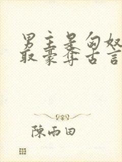 男主是匈奴的强取豪夺古言