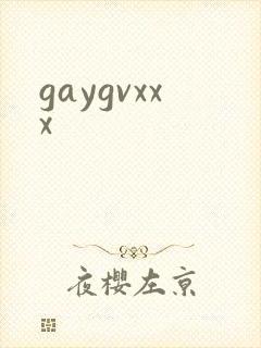 gaygvxxx封面