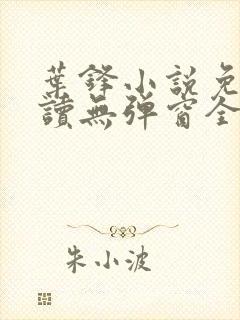 叶锋小说免费阅读无弹窗全文封面