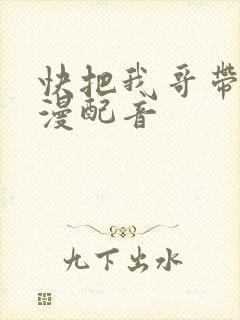 快把我哥带走动漫配音