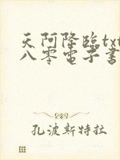 天阿降临txt八零电子书