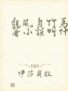 观风月竹马篇原著小说叫什么名字封面