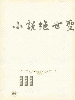 小说绝世圣医封面