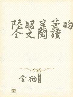 陆昭宁萧昀在线全文阅读