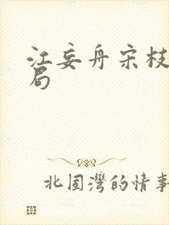 江妄舟宋枝雪结局封面