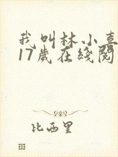 我叫林小喜今年17岁在线阅读封面
