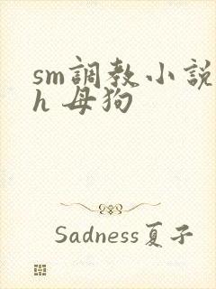 sm调教小说高h 母狗