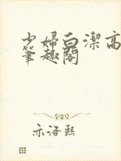 少妇白洁高义传笔趣阁封面