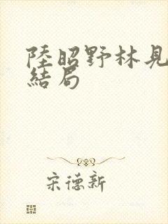 陆昭野林见疏大结局