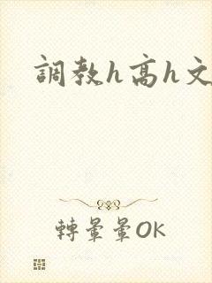 调教h高h文