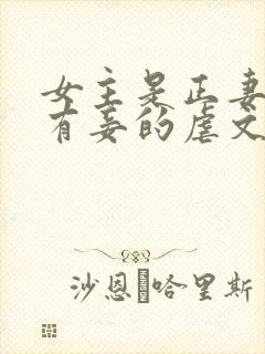 女主是正妻男主有妾的虐文