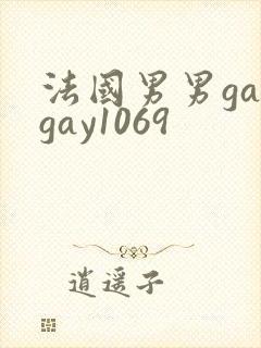 法国男男gaygay1069封面