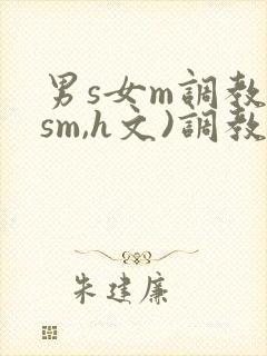 男s女m调教(sm,h文)调教小乳