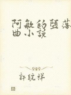 阿敏的堕落三部曲小说封面