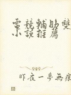 电竞辅助双男主小说推荐