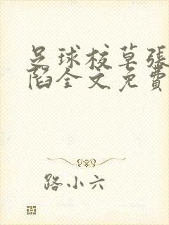 足球校草张梦沦陷全文免费阅读小说