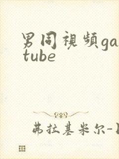 男同视频gay tube封面