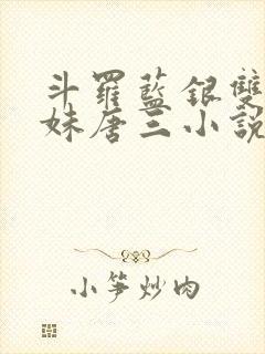 斗罗蓝银双生妹妹唐三小说免费阅读封面