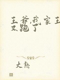 王爷,我家王妃又跑了