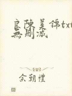 良陈美锦txt无删减