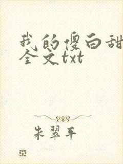 我的傻白甜老婆全文txt封面