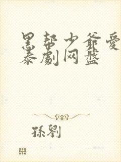 黑帮少爷爱上我泰剧网盘