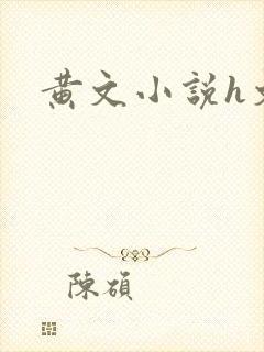 黄文小说h文