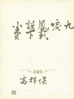 小说凤唳九天免费下载