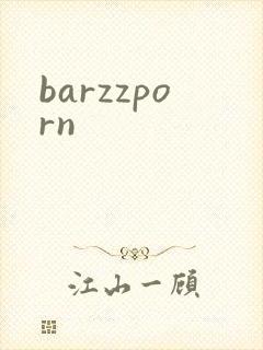 barzzporn