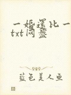 一婚还比一婚高txt网盘