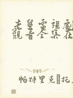 老舅电视剧免费观看全集在线播放