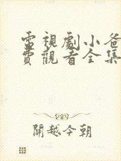 电视剧小爸爸免费观看全集高清