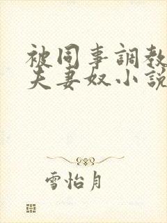 被同事调教成了夫妻奴小说封面